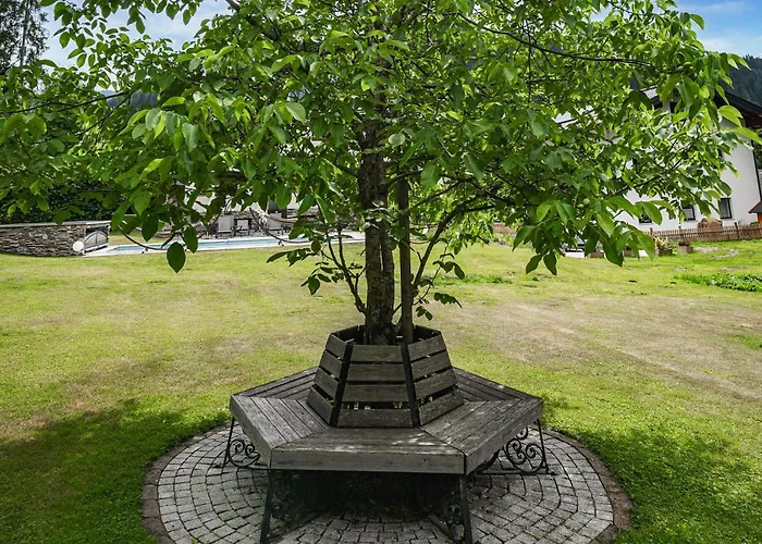 Attraktive Wagr * Wagrain